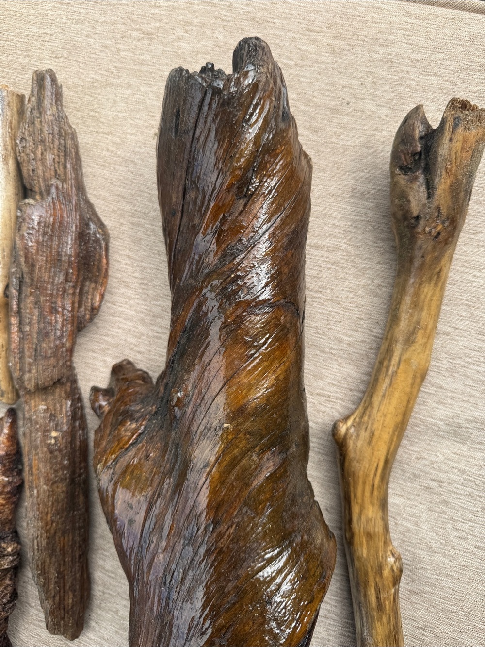 Pacific Northwest Natural Driftwood Coastal Collection Shellacked 7 pcs - Picture 8 of 8